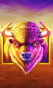 Buffalo King
