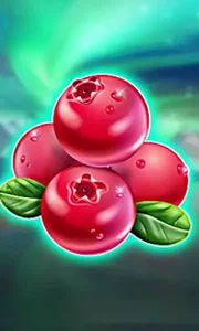Winterberries